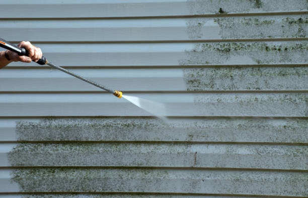 Best Local Pressure Washing Services  in Bridgeville, DE