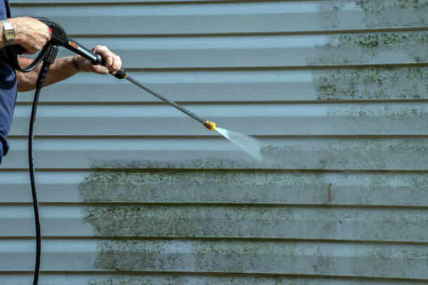 Best Sidewalk Pressure Washing  in Bridgeville, DE